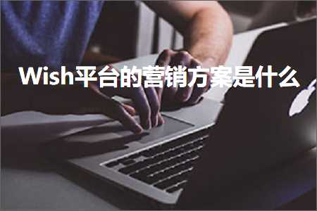 网站推广维护 跨境电商知识:Wish平台的营销方案是什么